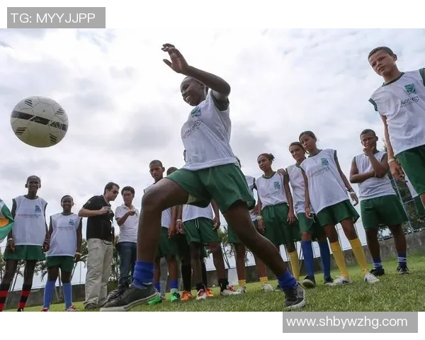 巴西警犬足球明星背后的故事与训练揭秘