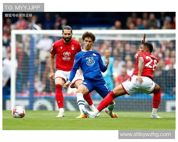 六号足球明星的辉煌历程与成就简介