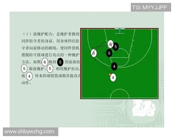篮球明星配置图解析与球队战术搭配的深度探讨与分析